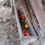phoca_thumb_m_ke krmelci 17 Fotogalerie